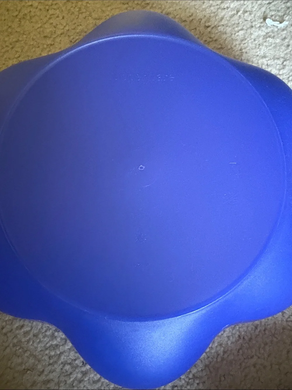Tupperware Blue Flower-Shaped Serving Tray Set